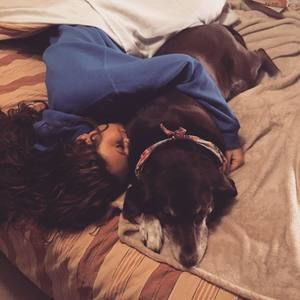 Meet your Posher, Morgan